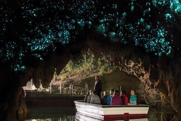 Waitomo Glow Worm Caves - Photo 1 of 15